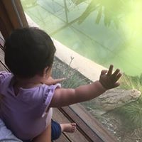 Profile Picture of Catherine Ryan (@catherine-ryan-26) on Quora