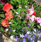 Profile Picture of Larry Jason (@Larry-Jason) on Facebook