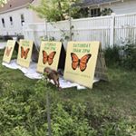 Profile Picture of David pittman (@davidpittman1953) on Instagram