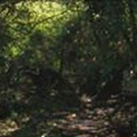 Patrick Hickey - Quora Profile Picture of Patrick Hickey (@patrick-hickey-21) on Quora