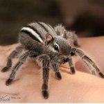 Profile Picture of Mark Zekan (@zackeryzekezekan) on Instagram