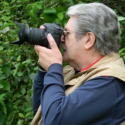 Profile Photo of Dieter Hölsken (@dplay111) on Twitter