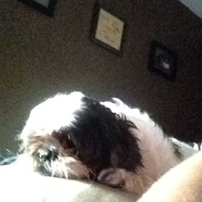Profile Picture of SYD🤪 (@troyhibbs) on Tiktok