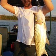 Profile Picture of Stuart Nash (@stuartnasher) on Twitter