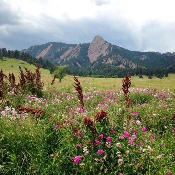 Profile Picture of Amanda Cope (@copeamanda) on Poshmark