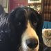 Profile Picture of Jeff Petrie (@jeff.petrie.946) on Facebook