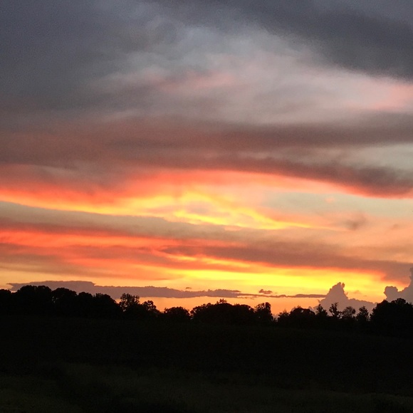 Profile Picture of Jaime Sutton (@jaime_sutton) on Poshmark