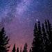 Profile Picture of Zan Zhang (@zanzhang2023) on Pinterest