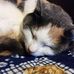 Profile Picture of Sandra Sharples (@sandra.sharples.37) on Facebook