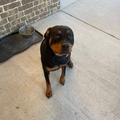 Profile Picture of charlesojeda7 (@charlesojeda72) on Tiktok