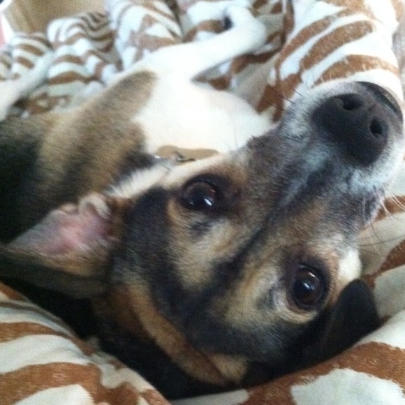 Profile Picture of Haley Spalding (@haleyspalds) on Poshmark