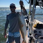 Profile Picture of Taylor Pulliam (@tpull79) on Instagram