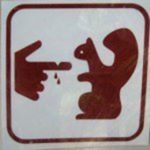 Profile Picture of Nancy Cook (@nancycook7997) on Instagram