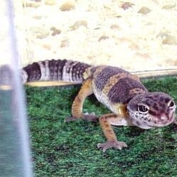 Profile Picture of Matthew Beebe (@255005901) on Myspace