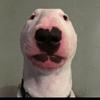 Profile Picture of jeremy Trout (@@jeremytrout5) on Tiktok