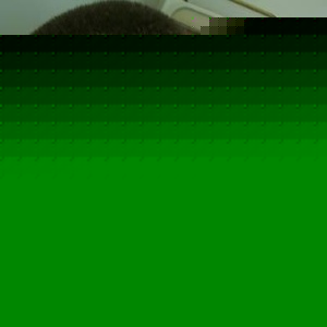 Profile Picture of Josh Carson (@piranha722) on Myspace