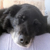 Profile Picture of Robert MacKinnon (@robertmackinnon216) on Youtube