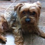 Profile Picture of Marilyn Hillier (@marilyn_hillier) on Instagram