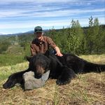 Profile Picture of Seth Hull (@sdwhull) on Instagram