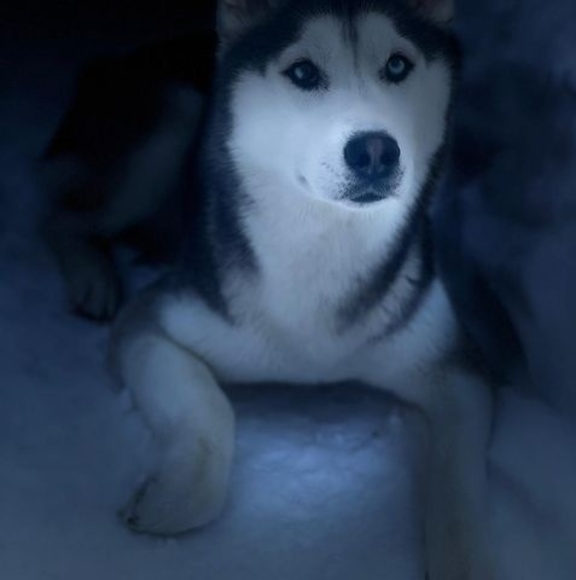 Profile Picture of Margoth Sandoval (@margothst) on Poshmark