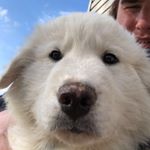 Profile Picture of Andrew Urbaniak (@andrew.urbaniak) on Instagram