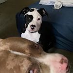 Profile Picture of Jason Mcgill (@jason.mcgill.357) on Instagram