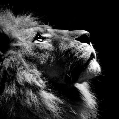 Profile Picture of Marcus L. Osborn (@0sb0rn) on Twitter