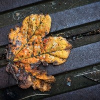 Profile Picture of Amal Zeidan (@amal-zeidan-2) on Quora