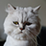 Profile Picture of Mimi Long (@longmimi) on Flickr