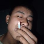 Profile Picture of NaiGure (@naigusse) on Instagram