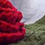 Profile Picture of Dawn Kaiser (@sunrise crochet) on Flickr