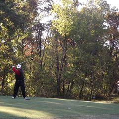 Profile Picture of dianebillhawsavis (@dianebillhawsavis) on Tiktok