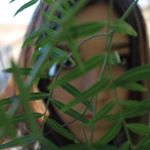 Profile Picture of julia diggs (@julia.rosemary) on Instagram