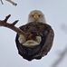 Profile Picture of Ronald Ekdahl (@ronald.ekdahl.5) on Facebook