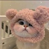 Profile Picture of julianne (@@juliannenguyen) on Tiktok