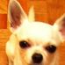 Profile Picture of Vito Antonio Uva (@antonio.uva) on Facebook