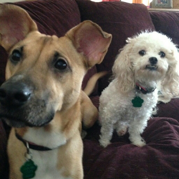 Profile Picture of Kristine Broceus (@grindley7542) on Poshmark