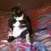 Profile Picture of Bob kirk (@kirkcpt97) on Pinterest