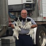 Profile Picture of Brian Schnerr (@drivingfordogtreats) on Instagram