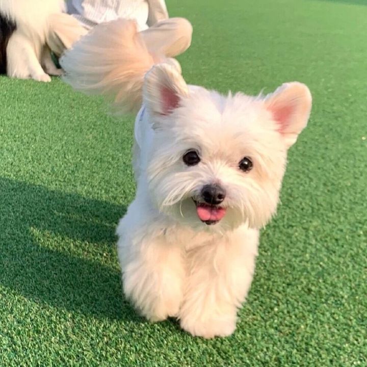 Profile Picture of Barring (@barrinsbvan) on Tiktok