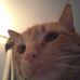 Profile Picture of Karen Hoben (@karen.hoben.71) on Facebook