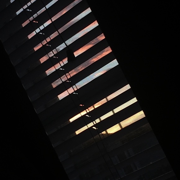 Profile Picture of Hailey Galindez (@hailey_galindez) on Poshmark