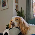 Profile Picture of Vanessa Perrin (@vanessa.perrin.1029) on Facebook