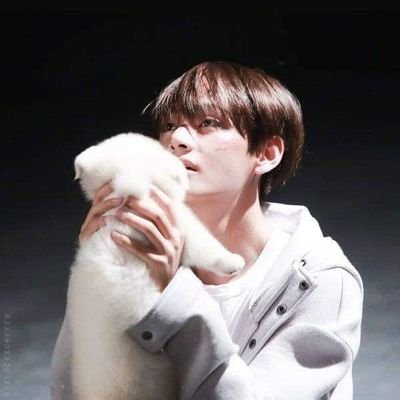 Profile Picture of Kim Vine (@KimVine11) on Twitter