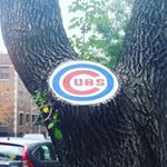 Profile Picture of bert hatchell (@berthatchell) on Instagram