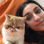 Profile Picture of Yas (@yasminrazavi) on Instagram