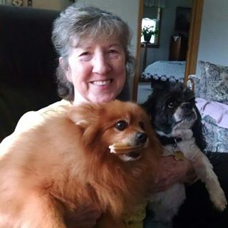 Profile Picture of Carol Larson (@Carol-Larson) on Facebook