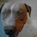 Profile Picture of Bob Acosta (@bob.acosta.376) on Facebook