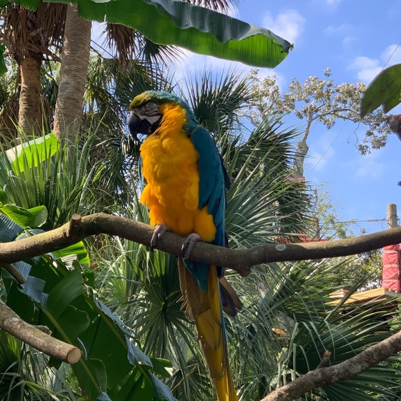 Profile Picture of Emisobai Emisobai (@emisobai) on Poshmark