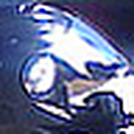 Profile Picture of Robert McCleave (@Fistdog12) on Flickr